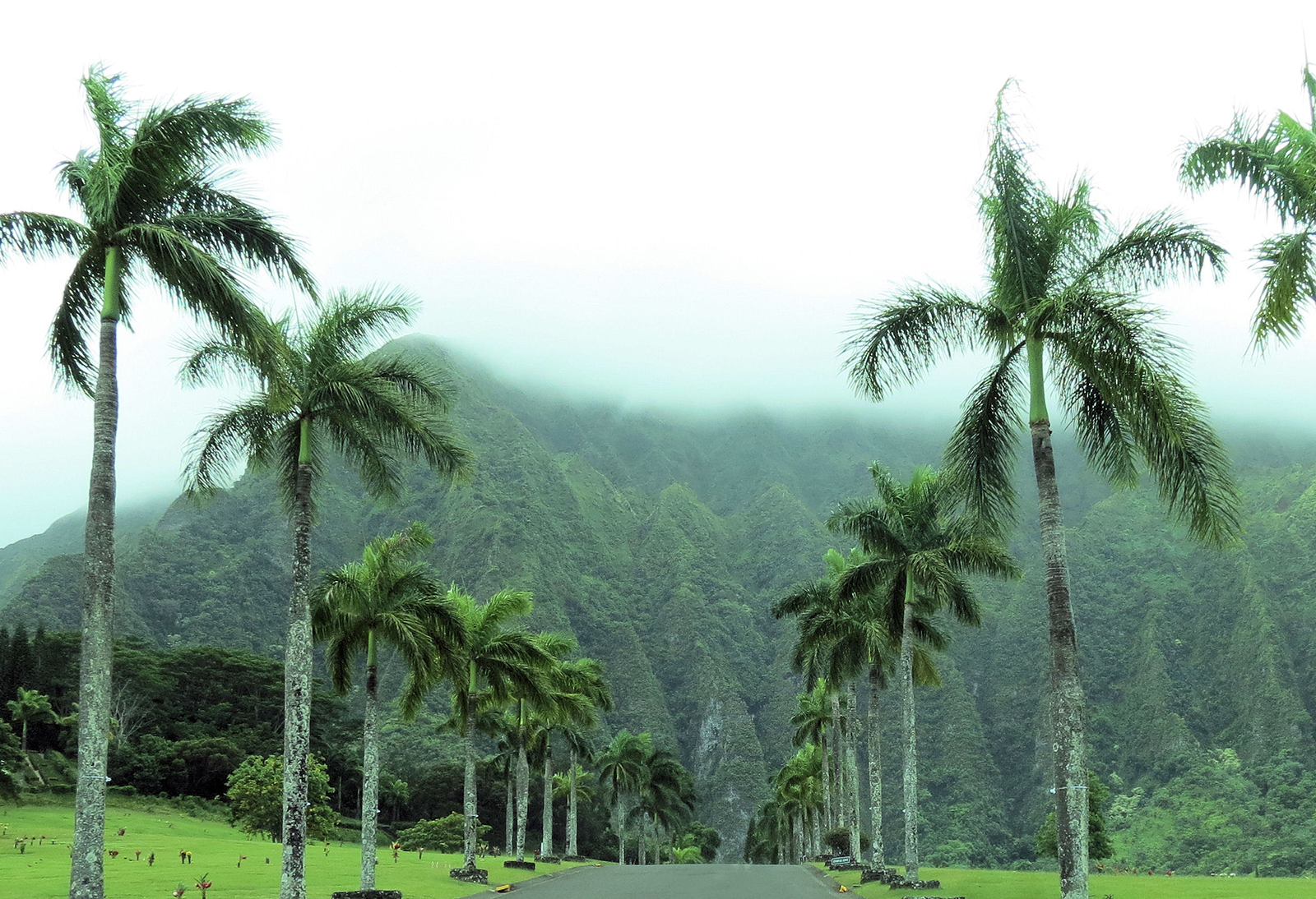 Explore Oahu Today